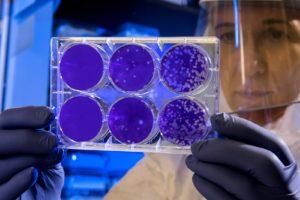 Woman Holding Laboratory Appratus